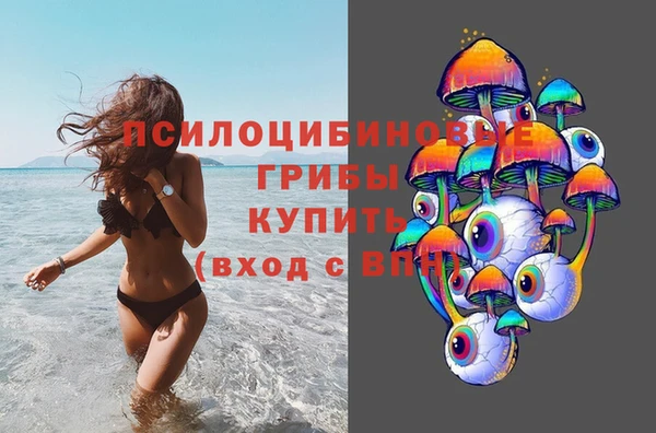 ГАЛЛЮЦИНОГЕННЫЕ ГРИБЫ Зерноград