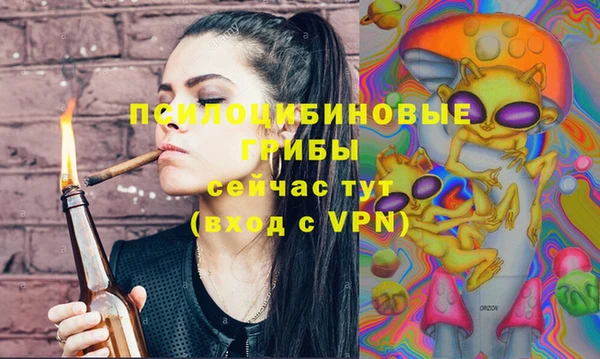 ГАЛЛЮЦИНОГЕННЫЕ ГРИБЫ Зерноград