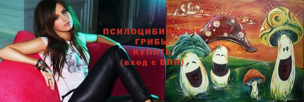 соль курить ск Зеленокумск