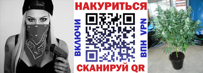 Купить закладки  Жердевка  Бошки марихуана планчик 